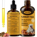 用于狗的Tail蘑菇 - 更快吸收 2000mg 土耳其 用于Immune & Digestive, Joint, Energy, 5X Mushroom for Pet Drop with Turmeric & Probiotic - Vet Produled, 90 ML/3FL.oz的蘑菇