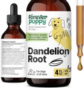 (原始内容存档于2018-03-03). Forever Pupy Dandelion Root Drops for Dogs - 大,中,小狗液态肝脏健康补充剂 - Liver cleanse Detox Drops w/Dandelion Root Extract - 4 oz).