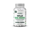 有机物 海洋野生海 Moss Capsules - 100% Irish Organization Sea Moss 含有机氯、Bladderwrack 和维生素D 用于能源、肺部健康和甲状腺对男女的支持 60 Capsules
