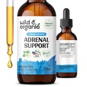 野生和有机肾上腺支持 阳性前景-与Ashwagandha、Rhodiola Rosea Root-1-Month 供应-Vegan、无糖和酒精-2 fl oz的肾上腺复合体