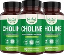 Nested Naturals Choline Bitartrate 500mg QQ 高概率选手补充 QQ支持认知性能和Liver函数 100% Vegan & Non-GMO QQ(3-Pack)
