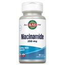 KAL Niacinamide 250mg 平板电脑、维生素B3 皮肤健康、能源代谢、神经、流通和文摘支助、强化吸收活动、维冈、100个服务、100个平板电脑