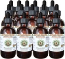 Echinacea 无酒精液体提取, Echinacea (Echinacea Angustifolia) 干根 Glycerite 夏威夷药草天然草药 15x4 oz