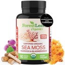 森林叶 有机爱尔兰海 Moss Capsules → 2100mg Raw Seamos Pills Advanced Superfood + Burdock, Bladderwrack for Digestive,呼吸,Immune 健康 → 90 Vegan 有机海 Moss Caps