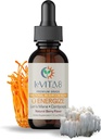 LeVITA8 成人前蘑菇药滴 - 100% 天然Berry Flavor - 狮子马恩液体的协同混合剂, Cordyceps 提取 & B12 - 快速吸附剂滴 (1oz, 30天供应)