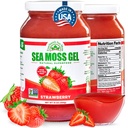 野生爱尔兰海 Moss Gel 在美国制造 富含维生素和矿物 海 Moss Gel Raw 营养补充 | 草莓(16 oz)