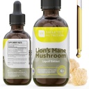 Lions Mane Extract - Lions Mane Tincture - 在美国制造 - 记忆,焦点和清晰度的蘑菇补充 - 每日蘑菇补充 - 4 Fl oz.