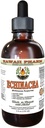 Echinacea 无酒精液体提取物,有机Echinacea(Echinacea Purpurea) 干草药草 夏威夷药草天然草药补充剂 4 oz