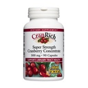 CranRich by Natural Incents, 超级强力Cranberry 聚焦, 抗氧化剂辅助尿道切除剂支持, 非 GMO, 90 Capsules