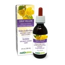 Naturmala Great Mullein 或 常见的穆林(Verbascum thapsus) 花和叶无酒精丁香 - 4 fl oz 滴水液提取 - 草药补充 - Vegan
