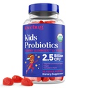 LOVBUG儿童 Probiotic Gummys – 为4岁以上儿童提供有机化学抗生素,土壤为基础的儿童抗生素用于Gut健康,便秘,Digestive & Immune支持,Vegan,30 Chews,草莓