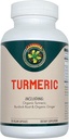 Carnivora Turmeric - 支持联合体和消化体健康(90 Vegan Capsules)