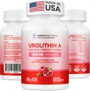 Urolithin A 补编 1400 MG - 非GMO、无胶原体、抗衰老、细胞更新、肌肉强力、耐力和长寿支持、Liposomal Urolithin A, 60 Counter