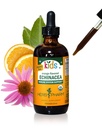 Herb Pharm Kids 认证 - Organic - 无酒精 Echinacea Glycerite液体提取器, 4 oz