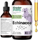 (原始内容存档于2018-07-21) (英语). Forever Pupy Echinacea Drops for Dogs - 豁免支持和呼吸卫生 w/Echinacea Herb 提取 - All Breeds & Sigss的液体免疫支持补充 - 4 oz