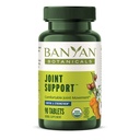 Banyan植物学联合支持 — 与Turmeric, Amla & Guggulu Resin 联合补充 — — 健康联合与舒适运动 * — 90片 — 非GMO,可持续来源, Vegan