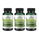 Swanson Lion的马内蘑菇 - 传统脑助推器 由Erinaceus Hericium制造(60盖,每盖500毫克) 3 Pack