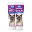 PetAg 猫类维生素和矿物胶类补充剂 - 3.5 oz, 包 2 - 为猫类提供基本的每日维生素和矿物 4个月和老年 - 容易摘要