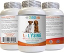 狗氨酸补充剂 - 狗 LYSINE 粉末 - 纯粉末形式 - 免疫系统支持 - Vet推荐 - 赖氨酸狗 - 1瓶(8oz 226.8格拉姆)