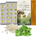 Oreganic Plus 塑料 - Oregano 基本油盖和Chios 塑料胶油 - 野生Oregano 油盖有机 - Immune助推和肠道支持 - 非GMO - 30 Counter Blister