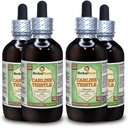 Carline Thetle (Carlina acaulis) Glycerite, 干根无酒精液体提取(Brand name: Herbalterra, 光荣在美国制造) 4x4 fl.oz(4x120 ml)
