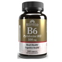 VIT B-6 TABS 100MG WMIL 100