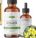 Mullein Tincture – 用于肺部支持和呼吸井的有机Mullein Drops – 美国制造 — 2 Fl Oz