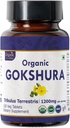 Gokshura 120块平板电脑 Terribulus Terrestris (Gokshura) USDA 有机认证 支持豁免和力量 | 有机和天然120塔布