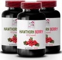 Hawthorn莓提取物 - HAWTHORN BERRIES EXTRACT - Hawthorn莓胶囊,Hawthorn提取物补充剂,女性抗氧化剂补充剂,皮肤的抗氧化剂补充剂 3瓶180盖