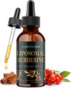 Liposomal Berberine Drops 补充 3000mg - 高吸收 AMPK 激活器,有机柏伯林 HCl 复合体 与锡兰肉桂和姜为Immune和Digestion(2 fl oz)