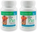 Alka • Pan (2 Pack) 最佳工艺 Alkaline — 天然消化剂补充剂 — 具有抗氧化剂-Rich超食品和消化剂的泛晶酶