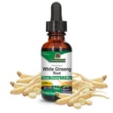 (原始内容存档于2017-09-26). Nature's Answer White Ginsen Root Hog Free 1 Fluid Ounce – 免疫支持 – 推动认知功能 – 精神清晰度与焦点