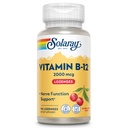 SOLARAY维生素B12 2000 mcg Lozenges - 无糖,天然樱桃火焰维生素B 12 NERVE功能,能量和红血细胞支持补充 - 实验室验证,Vegan - 90 services,90 Lozenges