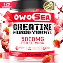 用于支持肌肉支持能源的Creatine Monohydrate Gummys for Men and Women 5000mg Creatine Monohydrate 120 Counter Chewble 5g Creatine Sugar Free Vegan (1包,草莓) 互联网档案馆的存檔,存档日期2013-03-02.