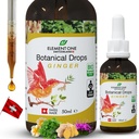 天然植物滴水-综合健康有机公式中的姜和消化酶,支持免疫系统,促进炎症缓解,增强血液循环(50毫升)