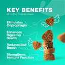 无 Poo Chewables for Dogs - Ezymes, dog Probiology for Digestive Health - Canine Digestive, Gut & Immune Health Supplements (英语) "狗的厨艺"(无 Poo Chewables for Dogs - Ezymes, Dog Probiotics for Digestive Heal - Canine Digestive, Gut & Immune Health Supplex) "狗的厨艺"(英语:无 狗的厨艺) "狗的厨艺"(英语:无 狗的厨艺) "狗"(英语:无 ) "狗的厨艺"(英语:无 ) "狗的食"(英语:"(英语:没有) "狗的食"(英语:没有) "狗的食"(英语) "狗"(英语:没有) "狗的食"(英语:") "狗"(英语) "狗的"(英语) "狗的"(英语)"(英语) "