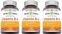 神奇的维生素B6 Pyridoxine 25mg 250 平板电脑 Supplements QQ Non-GMO QQ Gluten Free QQ 在美国制造 (3 Pack)