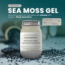 Ashwagandha Mangodha Mango Sea Moss Gel 有机新鲜水果 注入野生收获的爱尔兰海 Moss Gel | Immune 和消化支持 | Vitamin Mineral 抗氧化剂补充剂 | (16 oz. Ashwagandha Mango)