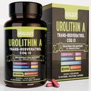 Urolithin 城市工作妇女补编:抗衰老卡普勒斯与跨Resveratrol和CoQ10-美国实验室验证支持健康老化和细胞更新(9in1)