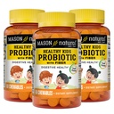 MASON NATURAL 健康儿童与Fiber -- -- 健康消化功能,改善古特健康,60 Chewables(第3包)