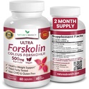 超纯Forskolin用于重量管理 最大强度 → Coleus Forskohlii 根提取粉, 40% 标准化 Lean Supplement for Men and Women → Premium Extreme boost Complex - 60 capsules