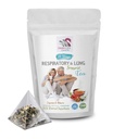 呼吸维他命 -- -- 恢复和LUNG支持TeA 14天,配有肉桂、Hibiscus、沼泽根、Astragalus、Peppermint、Eucalyptus茶叶