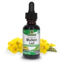 Nature's Answer Mullein Leaf QQ 草药补充QQ 支持呼吸功能和 Mucous Membranes QQ Non-GMO & Kosher & Gluten-Free & 酒精1oz (2 Pack)