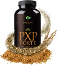 阿尔法 PXP 堡垒 150 gm 30 为瓶子场服务