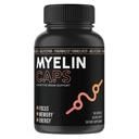Myelin Caps, Brain Health Supplement, Focus Supplement and Brain Health with AlphaSize, 内存和认知功能支持, Gluten-Free, 非GMO(90 Capsules) 互联网档案馆的存檔,存档日期2013-12-20.