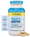 HEAL-N-SOOTHE 联合支持补编 - Bromelain & Papain等蛋白质酶,配有Boswellia,Turmeric & Ginger - 推广蛋白质消化功能和身体防御井 - 60 Counter (1 Pack)