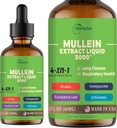 4-in-1 Mullein Drops for Lungs,有机Mullein Leaf & Honeysuckle & Eucalyptus Leaf & Echinacea 提取物,用于肺清洁剂,免疫和呼吸支持,无糖 QQ 非GMO | Vegan, 2 Fl oz