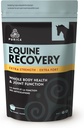PUICA Equine Hyaluronic Acid -- -- 与Glucosamine、MSM粉末、贝泰因、镁、维生素C和E -- -- 绿茶和葡萄籽提取 -- -- 马用品和治疗的马联合支助补编