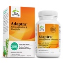 Terry自然适应-支持肾上腺健康的补充 - Ashwagandha 补充 Rhodiola Rosea 摘录 - 支持能量和浓度的草药补充 - 60 Capsules