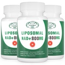NAD+ 补充 Liposomal NAD+ + 800MG Nicotinamide Riboside 细胞能量、健康衰老和肌肉修补180卡普尔替代物(3包)
